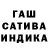 Amphetamine Premium Varvara Kozelkova