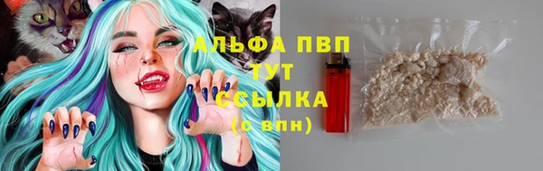 каннабис Белокуриха